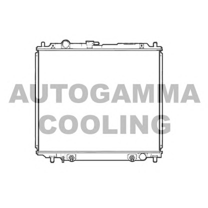 Foto Radiatore, Raffreddamento motore AUTOGAMMA 107252