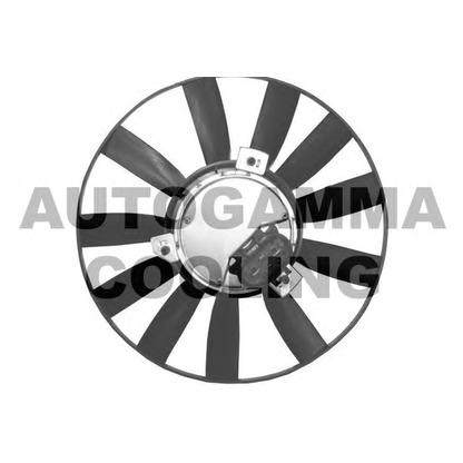 Foto Ventola, Raffreddamento motore AUTOGAMMA GA201659