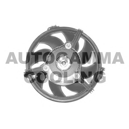 Foto Ventola, Raffreddamento motore AUTOGAMMA GA201663