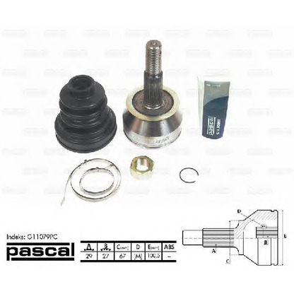 Foto Kit giunti, Semiasse PASCAL G11079PC