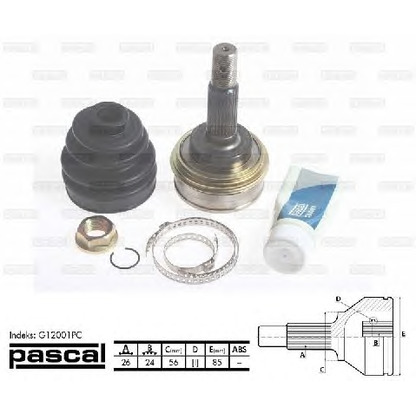 Photo Joint Kit, drive shaft PASCAL G12001PC