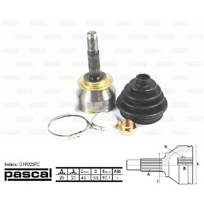 Photo Joint Kit, drive shaft PASCAL G1F025PC