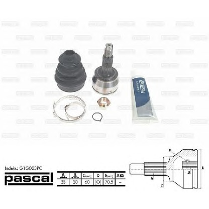 Photo Joint, drive shaft PASCAL G1G003PC