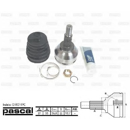 Photo Joint Kit, drive shaft PASCAL G1R019PC