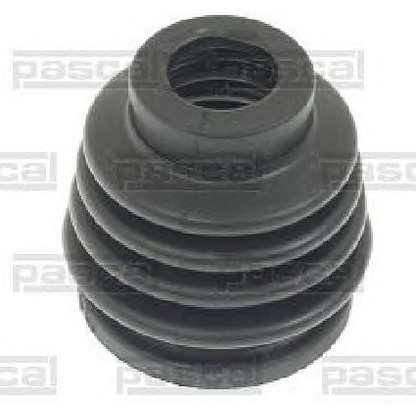 Photo Bellow, driveshaft PASCAL G5F000PC