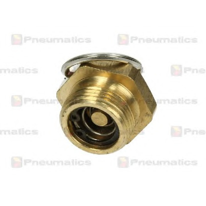 Фото Клапан слива воды PNEUMATICS PN10088