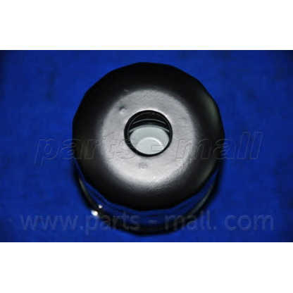 Photo Fuel filter PARTS-MALL PCB024