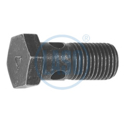 Photo Hollow Screw LASO D07643002