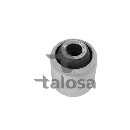 Photo Control Arm-/Trailing Arm Bush TALOSA 5708426