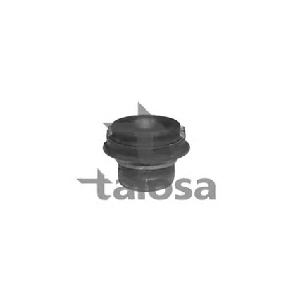 Photo Control Arm-/Trailing Arm Bush TALOSA 5701930