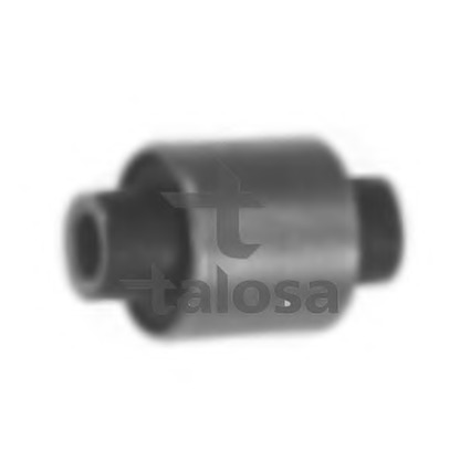 Photo Engine Mounting TALOSA 6105124