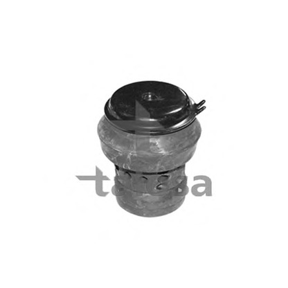 Photo Engine Mounting TALOSA 6105296