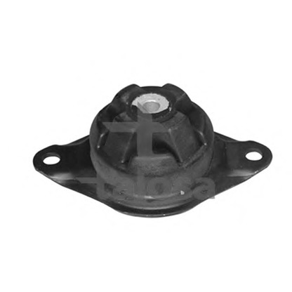 Photo Engine Mounting TALOSA 6106574