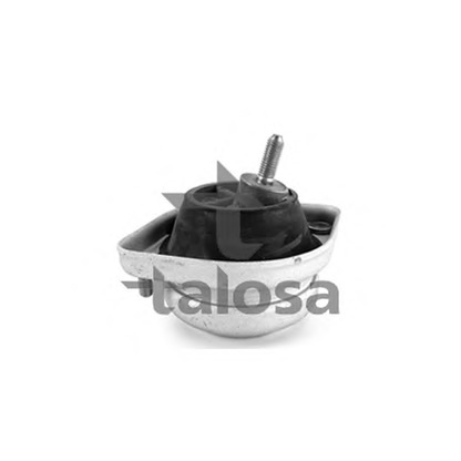 Photo Engine Mounting TALOSA 6106624
