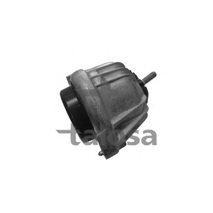 Photo Engine Mounting TALOSA 6106627