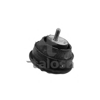 Photo Engine Mounting TALOSA 6106638