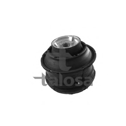 Photo Engine Mounting TALOSA 6106854