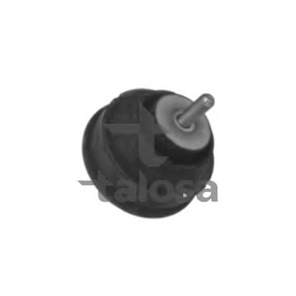 Photo Engine Mounting TALOSA 6106613