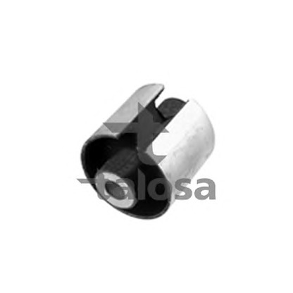 Photo Control Arm-/Trailing Arm Bush TALOSA 5701952