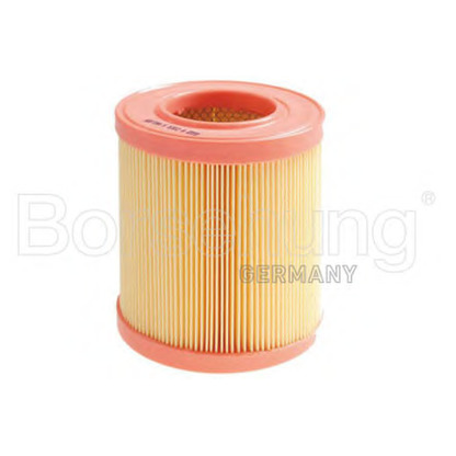 Photo Air Filter Borsehung B12813