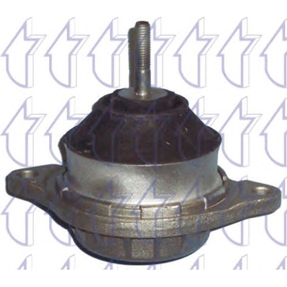 Photo Engine Mounting TRICLO 363902