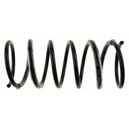 Photo Coil Spring SACHS 998050