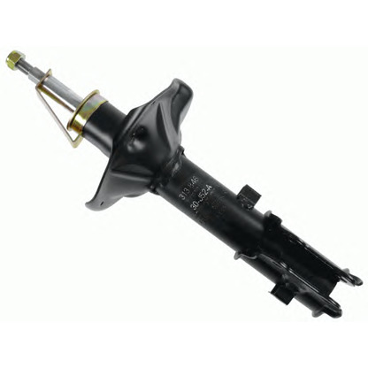 Photo Shock Absorber SACHS 313846