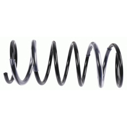 Photo Coil Spring SACHS 998064