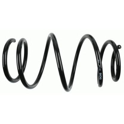 Photo Coil Spring SACHS 998046