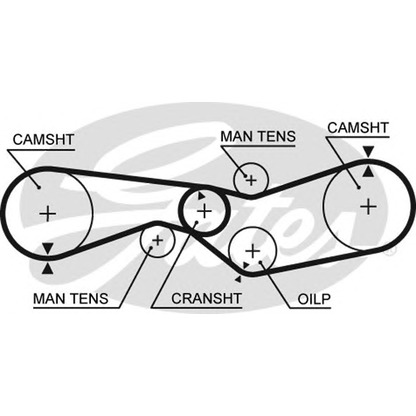Foto Zahnriemen GATES 5012