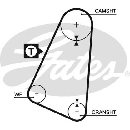 Foto Cinghia dentata GATES 5015