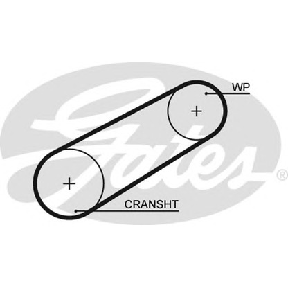Foto Correa dentada GATES 5042