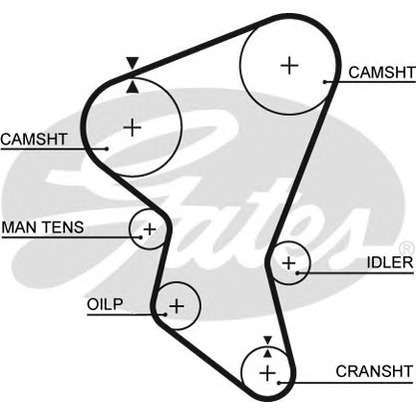 Фото Ремень ГРМ GATES 5171XS