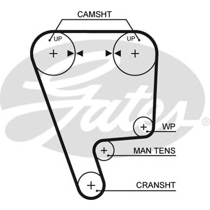 Photo Timing Belt GATES 5349XS