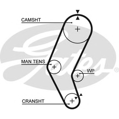 Foto Zahnriemen GATES 5401