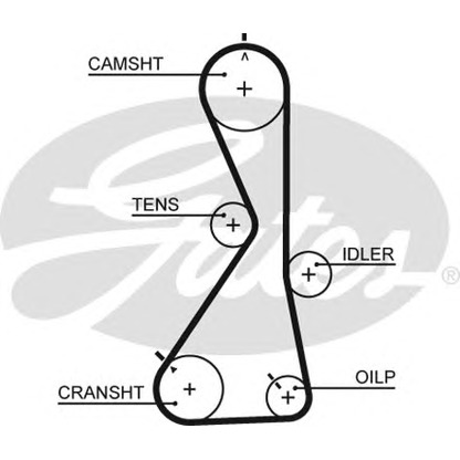 Photo Timing Belt GATES 5481XS