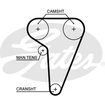 Photo Timing Belt GATES 5549XS