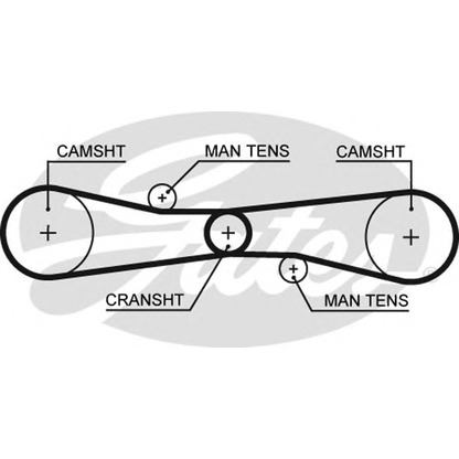 Foto Zahnriemen GATES T275