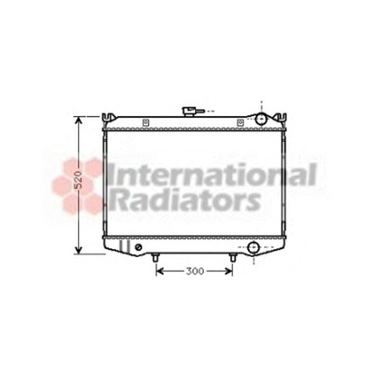 Photo Radiateur, refroidissement du moteur VAN WEZEL 13002064