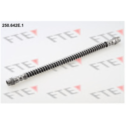 Foto Tubo flexible de frenos FTE 250642E1