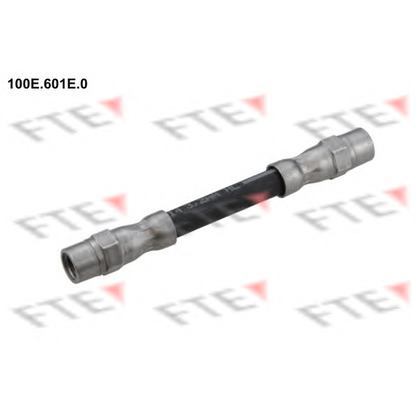 Photo Brake Hose FTE 100E601E0