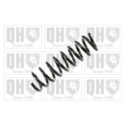 Photo Coil Spring QUINTON HAZELL QCS5113