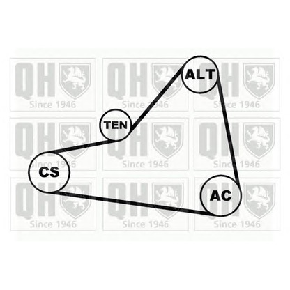 Foto Kit Cinghie Poly-V QUINTON HAZELL QDK68