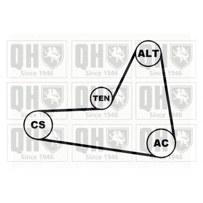 Foto Kit Cinghie Poly-V QUINTON HAZELL QDK68