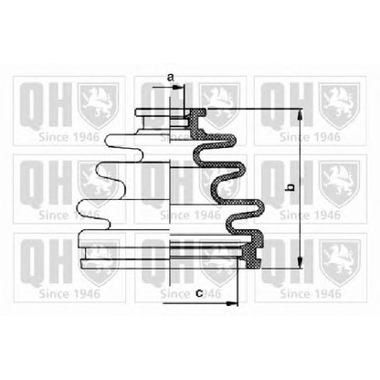 Photo Bellow Set, drive shaft QUINTON HAZELL QJB1096