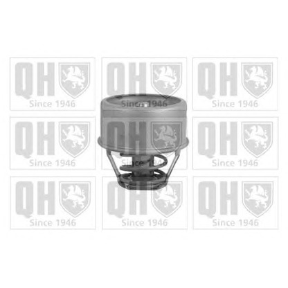 Photo Thermostat d'eau QUINTON HAZELL QTH431