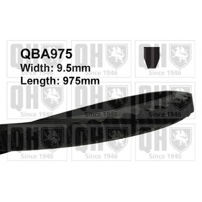 Photo V-Belt QUINTON HAZELL QBA975