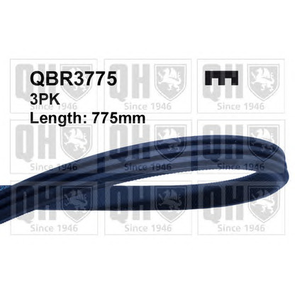 Photo V-Ribbed Belts QUINTON HAZELL QBR3775