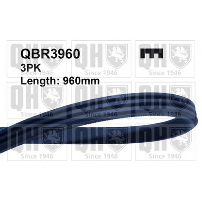 Photo V-Ribbed Belts QUINTON HAZELL QBR3960