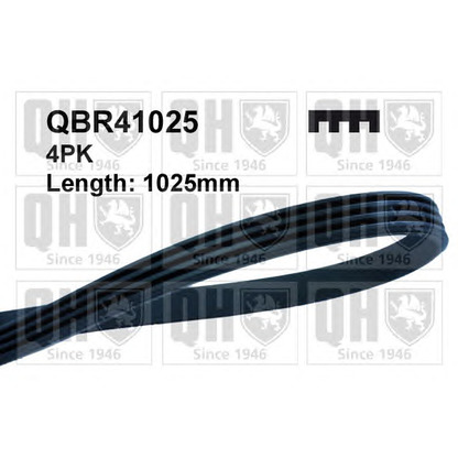 Photo V-Ribbed Belts QUINTON HAZELL QBR41025